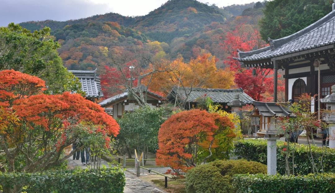 Exploring the Hidden Gems of Kyoto 1